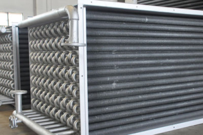 Steam heat exchanger for drying systems
